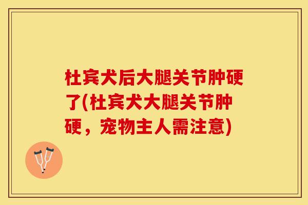 杜宾犬后大腿关节肿硬了(杜宾犬大腿关节肿硬，宠物主人需注意)