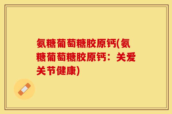 氨糖葡萄糖胶原钙(氨糖葡萄糖胶原钙：关爱关节健康)