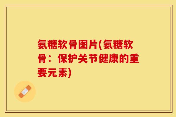 氨糖软骨图片(氨糖软骨：保护关节健康的重要元素)