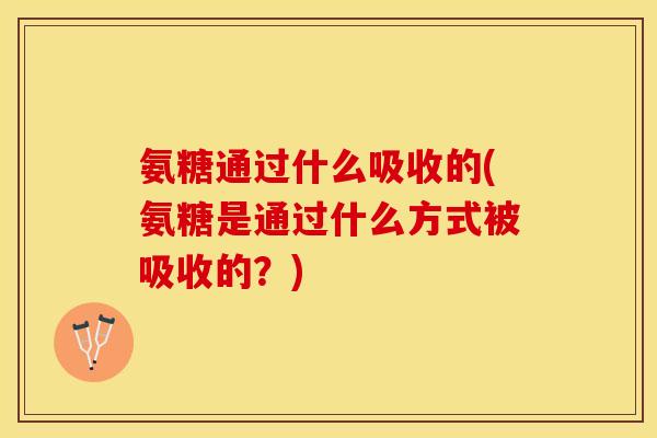 氨糖通过什么吸收的(氨糖是通过什么方式被吸收的？)