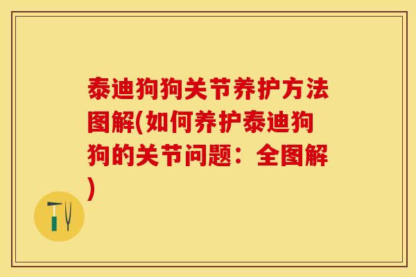 泰迪狗狗关节养护方法图解(如何养护泰迪狗狗的关节问题：全图解)