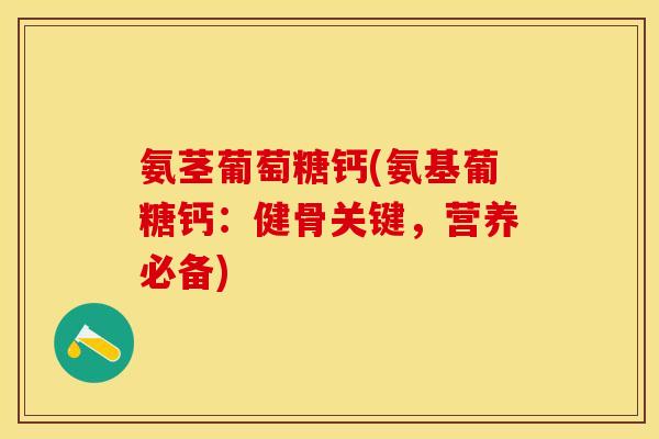 氨茎葡萄糖钙(氨基葡糖钙：健骨关键，营养必备)-第1张图片-关节保镖