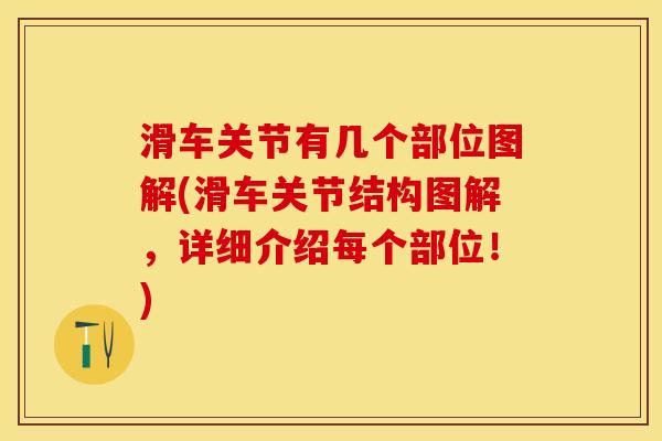 滑车关节有几个部位图解(滑车关节结构图解，详细介绍每个部位！)
