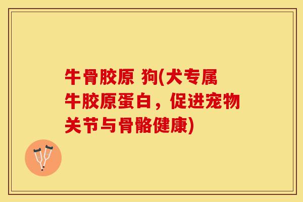 牛骨胶原 狗(犬专属牛胶原蛋白，促进宠物关节与骨骼健康)