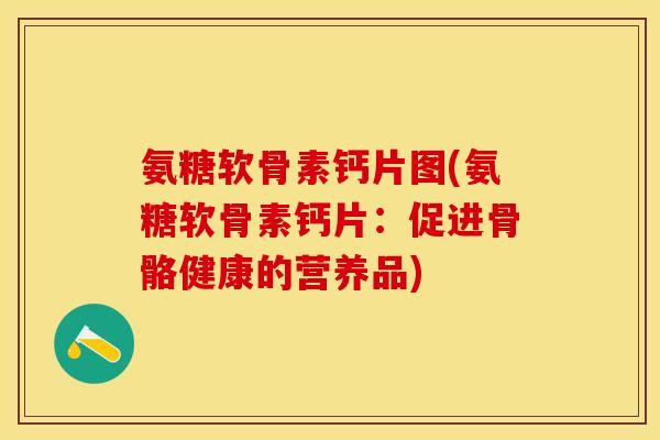 氨糖软骨素钙片图(氨糖软骨素钙片：促进骨骼健康的营养品)