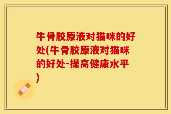 牛骨胶原液对猫咪的好处(牛骨胶原液对猫咪的好处-提高健康水平)