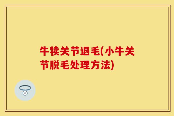 牛犊关节退毛(小牛关节脱毛处理方法)