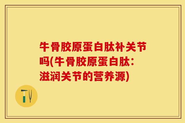 牛骨胶原蛋白肽补关节吗(牛骨胶原蛋白肽：滋润关节的营养源)