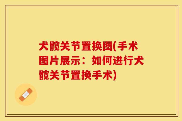 犬髋关节置换图(手术图片展示：如何进行犬髋关节置换手术)