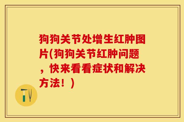 狗狗关节处增生红肿图片(狗狗关节红肿问题，快来看看症状和解决方法！)