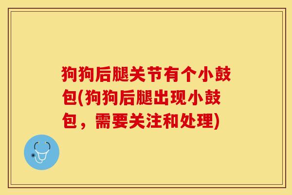 狗狗后腿关节有个小鼓包(狗狗后腿出现小鼓包，需要关注和处理)