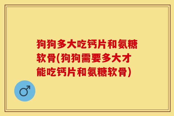 狗狗多大吃钙片和氨糖软骨(狗狗需要多大才能吃钙片和氨糖软骨)