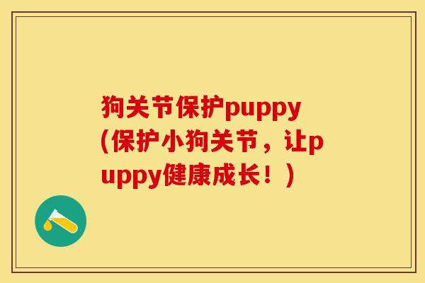 狗关节保护puppy(保护小狗关节，让puppy健康成长！)