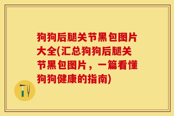 狗狗后腿关节黑包图片大全(汇总狗狗后腿关节黑包图片，一篇看懂狗狗健康的指南)