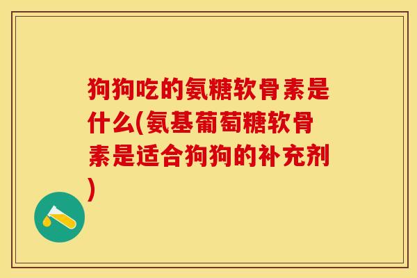 狗狗吃的氨糖软骨素是什么(氨基葡萄糖软骨素是适合狗狗的补充剂)