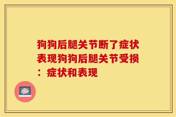 狗狗后腿关节断了症状表现狗狗后腿关节受损：症状和表现