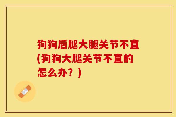 狗狗后腿大腿关节不直(狗狗大腿关节不直的怎么办？)