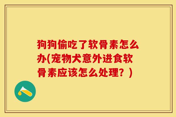狗狗偷吃了软骨素怎么办(宠物犬意外进食软骨素应该怎么处理？)
