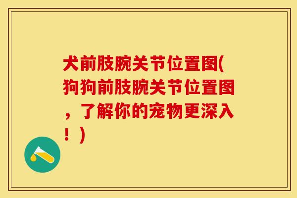 犬前肢腕关节位置图(狗狗前肢腕关节位置图,了解你的宠物更深入!)-第1张图片-关节保镖 犬前肢腕关节位置图(狗狗前肢腕关节位置图,了解你的宠物更深入!)-第1张图片-关节保镖