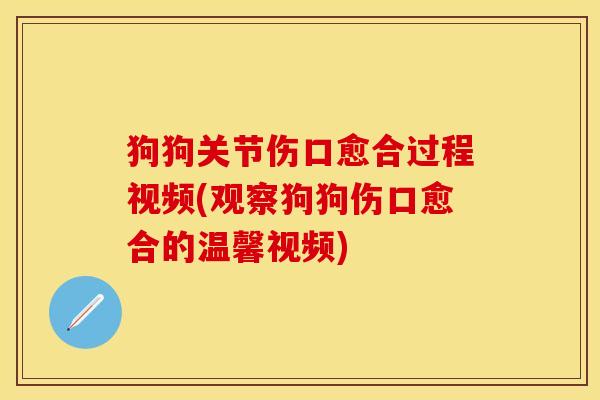狗狗关节伤口愈合过程视频(观察狗狗伤口愈合的温馨视频)