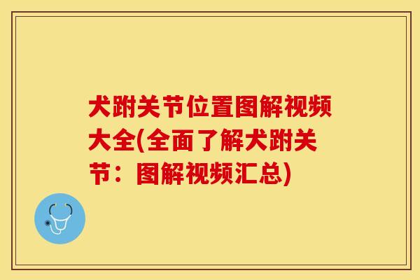 犬跗关节位置图解视频大全(全面了解犬跗关节：图解视频汇总)