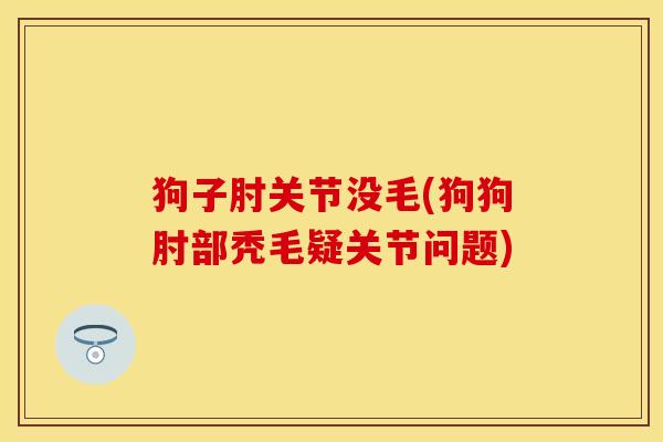 狗子肘关节没毛(狗狗肘部秃毛疑关节问题)