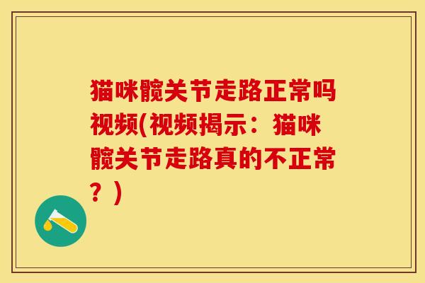 猫咪髋关节走路正常吗视频(视频揭示：猫咪髋关节走路真的不正常？)