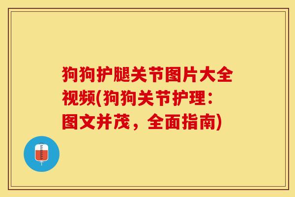 狗狗护腿关节图片大全视频(狗狗关节护理：图文并茂，全面指南)