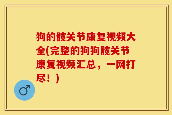 狗的髋关节康复视频大全(完整的狗狗髋关节康复视频汇总，一网打尽！)