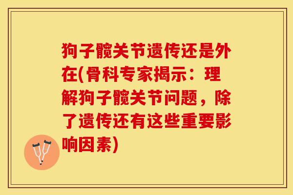 狗子髋关节遗传还是外在(骨科专家揭示：理解狗子髋关节问题，除了遗传还有这些重要影响因素)-第1张图片-关节保镖
