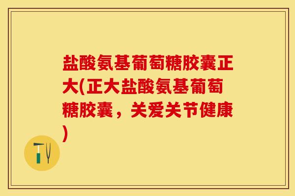 盐酸氨基葡萄糖胶囊正大(正大盐酸氨基葡萄糖胶囊，关爱关节健康)