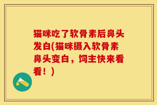 猫咪吃了软骨素后鼻头发白(猫咪摄入软骨素鼻头变白，饲主快来看看！)