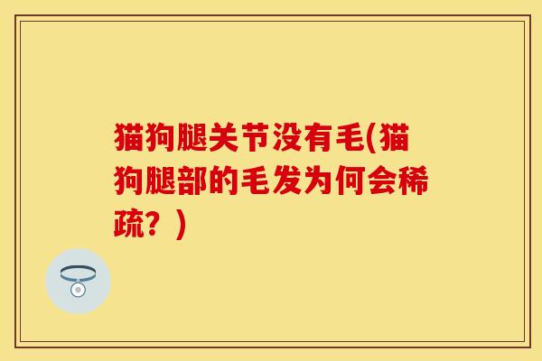 猫狗腿关节没有毛(猫狗腿部的毛发为何会稀疏？)