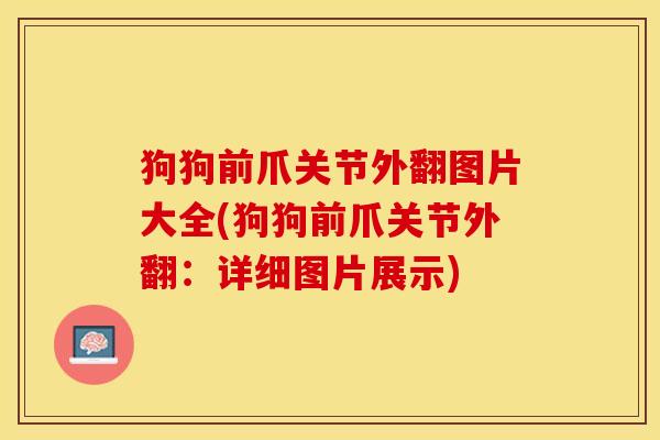 狗狗前爪关节外翻图片大全(狗狗前爪关节外翻：详细图片展示)-第1张图片-关节保镖