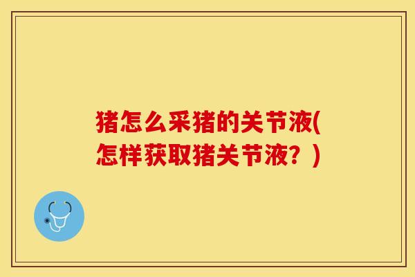 猪怎么采猪的关节液(怎样获取猪关节液？)