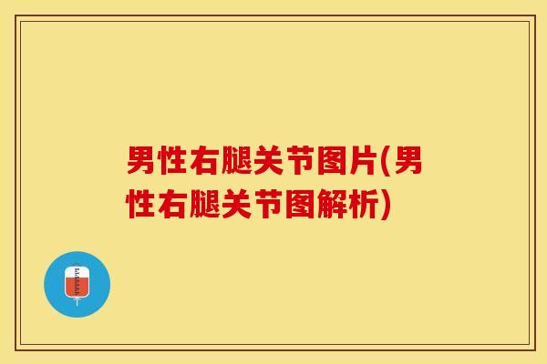 男性右腿关节图片(男性右腿关节图解析)