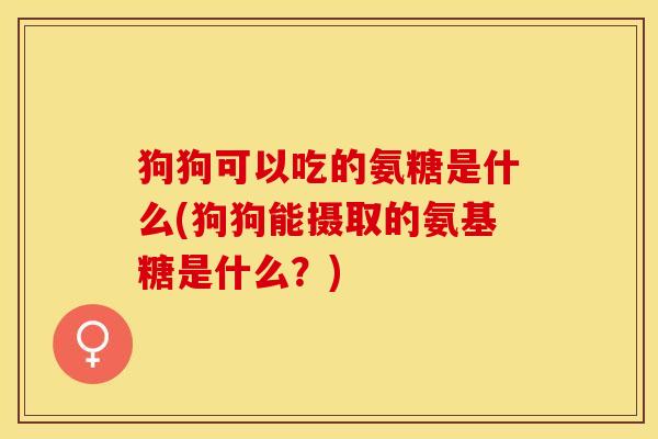 狗狗可以吃的氨糖是什么(狗狗能摄取的氨基糖是什么？)