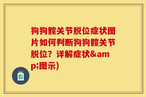 狗狗髋关节脱位症状图片如何判断狗狗髋关节脱位？详解症状&图示)