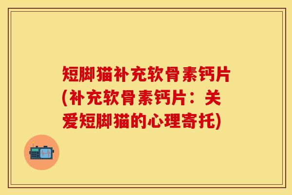 短脚猫补充软骨素钙片(补充软骨素钙片：关爱短脚猫的心理寄托)