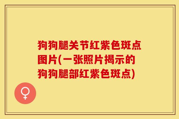 狗狗腿关节红紫色斑点图片(一张照片揭示的狗狗腿部红紫色斑点)