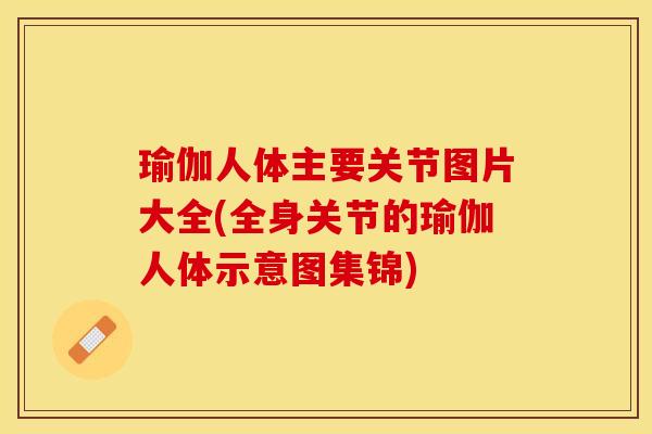 瑜伽人体主要关节图片大全(全身关节的瑜伽人体示意图集锦)