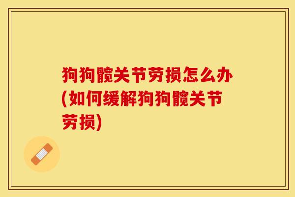狗狗髋关节劳损怎么办(如何缓解狗狗髋关节劳损)