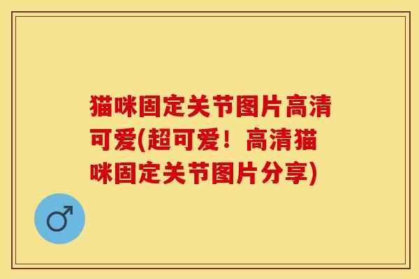 猫咪固定关节图片高清可爱(超可爱！高清猫咪固定关节图片分享)