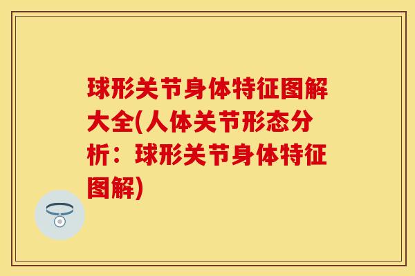 球形关节身体特征图解大全(人体关节形态分析：球形关节身体特征图解)