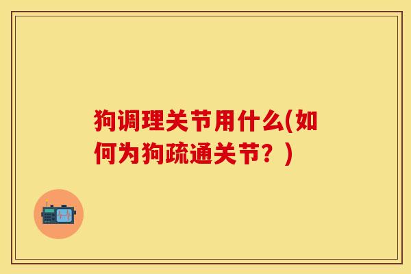 狗调理关节用什么(如何为狗疏通关节？)