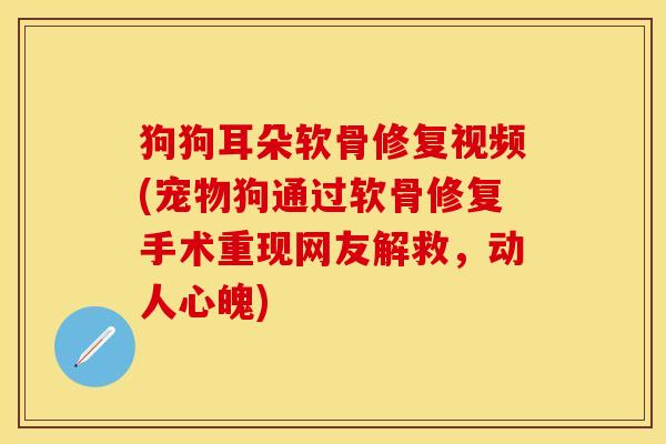 狗狗耳朵软骨修复视频(宠物狗通过软骨修复手术重现网友解救，动人心魄)