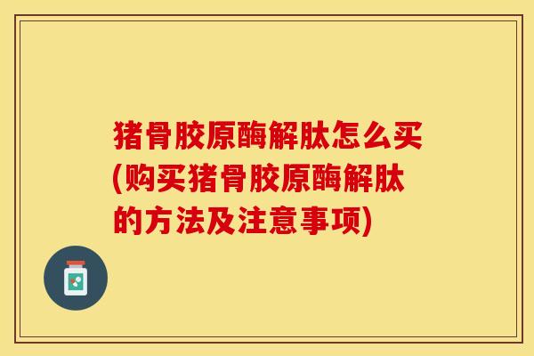猪骨胶原酶解肽怎么买(购买猪骨胶原酶解肽的方法及注意事项)