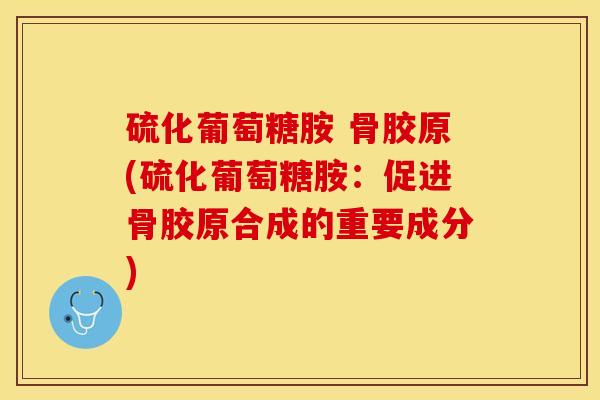 硫化葡萄糖胺 骨胶原(硫化葡萄糖胺：促进骨胶原合成的重要成分)