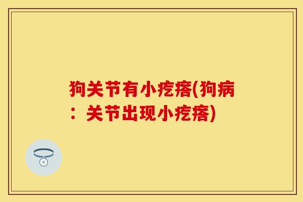 狗关节有小疙瘩(狗病：关节出现小疙瘩)