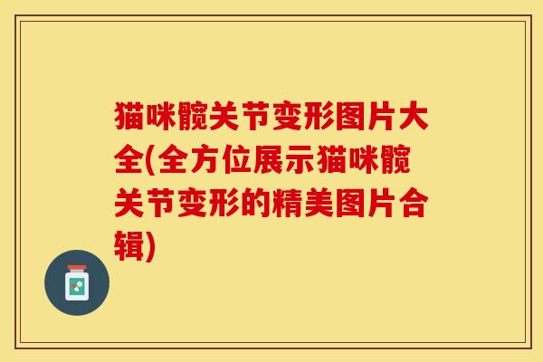 猫咪髋关节变形图片大全(全方位展示猫咪髋关节变形的精美图片合辑)